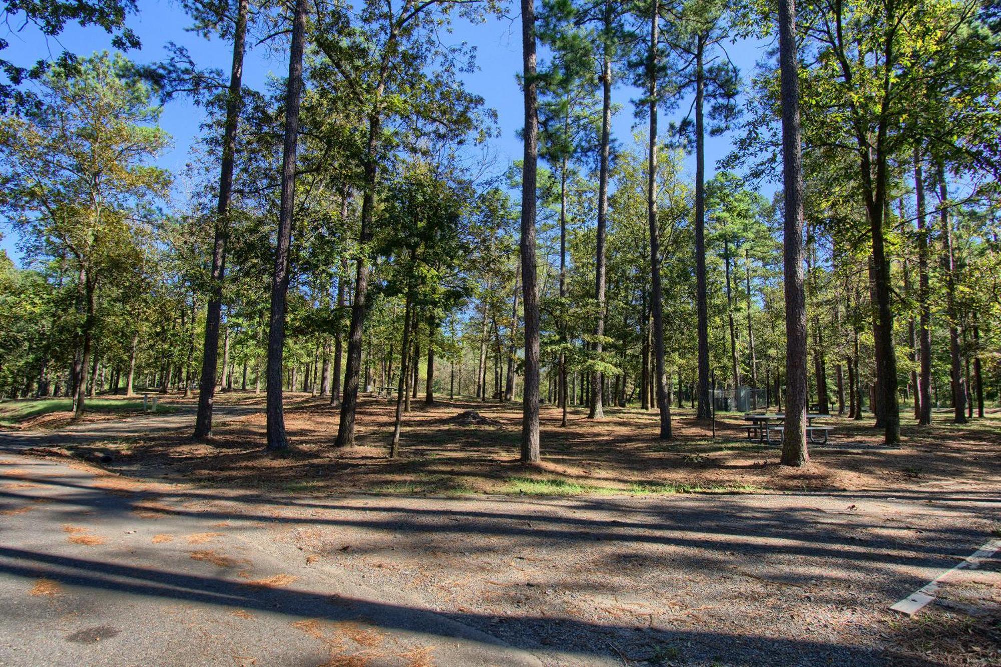 The Americana - Parker Creek Bend Cabins マーフリーズボロ エクステリア 写真