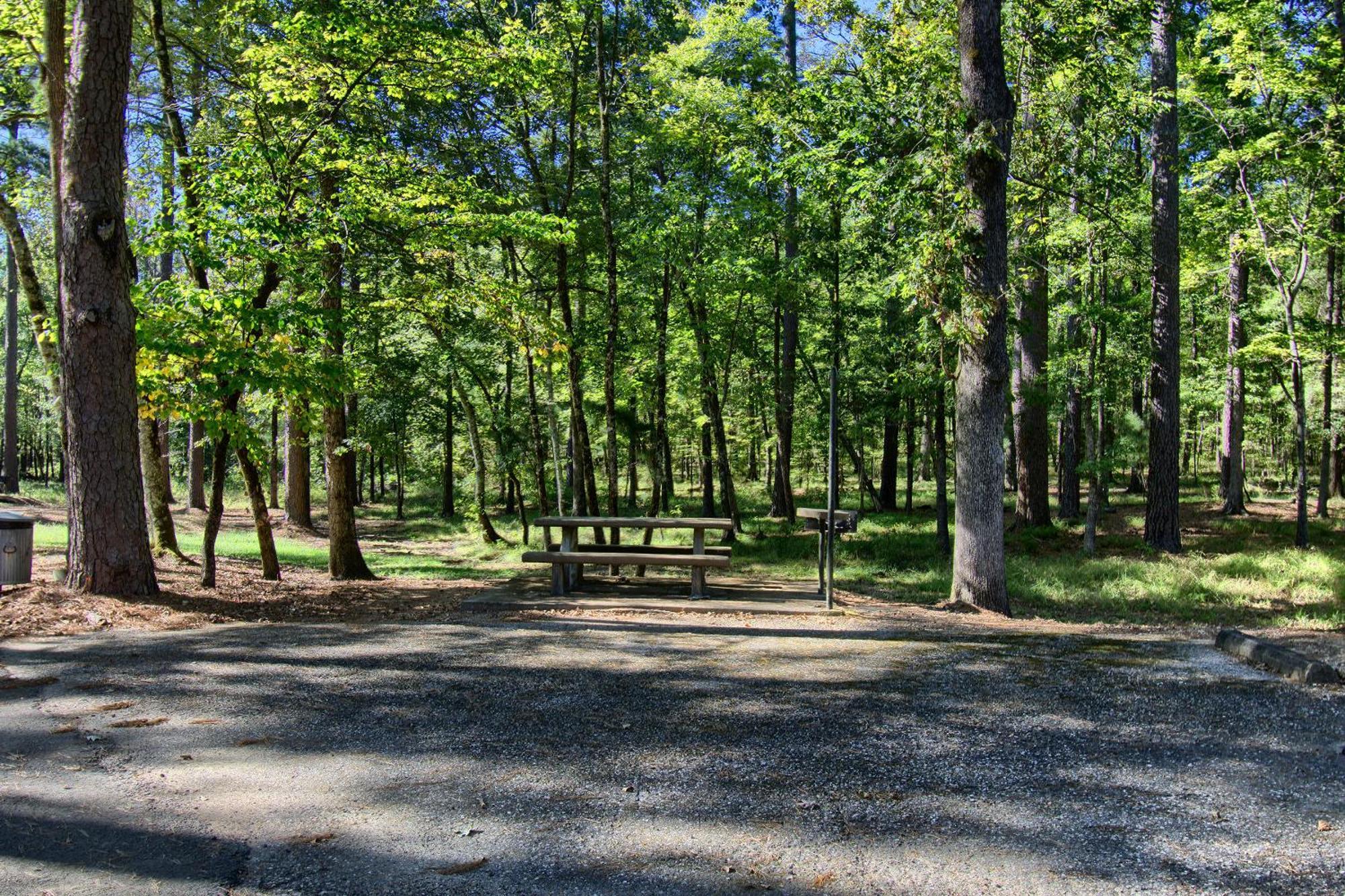 The Americana - Parker Creek Bend Cabins マーフリーズボロ エクステリア 写真