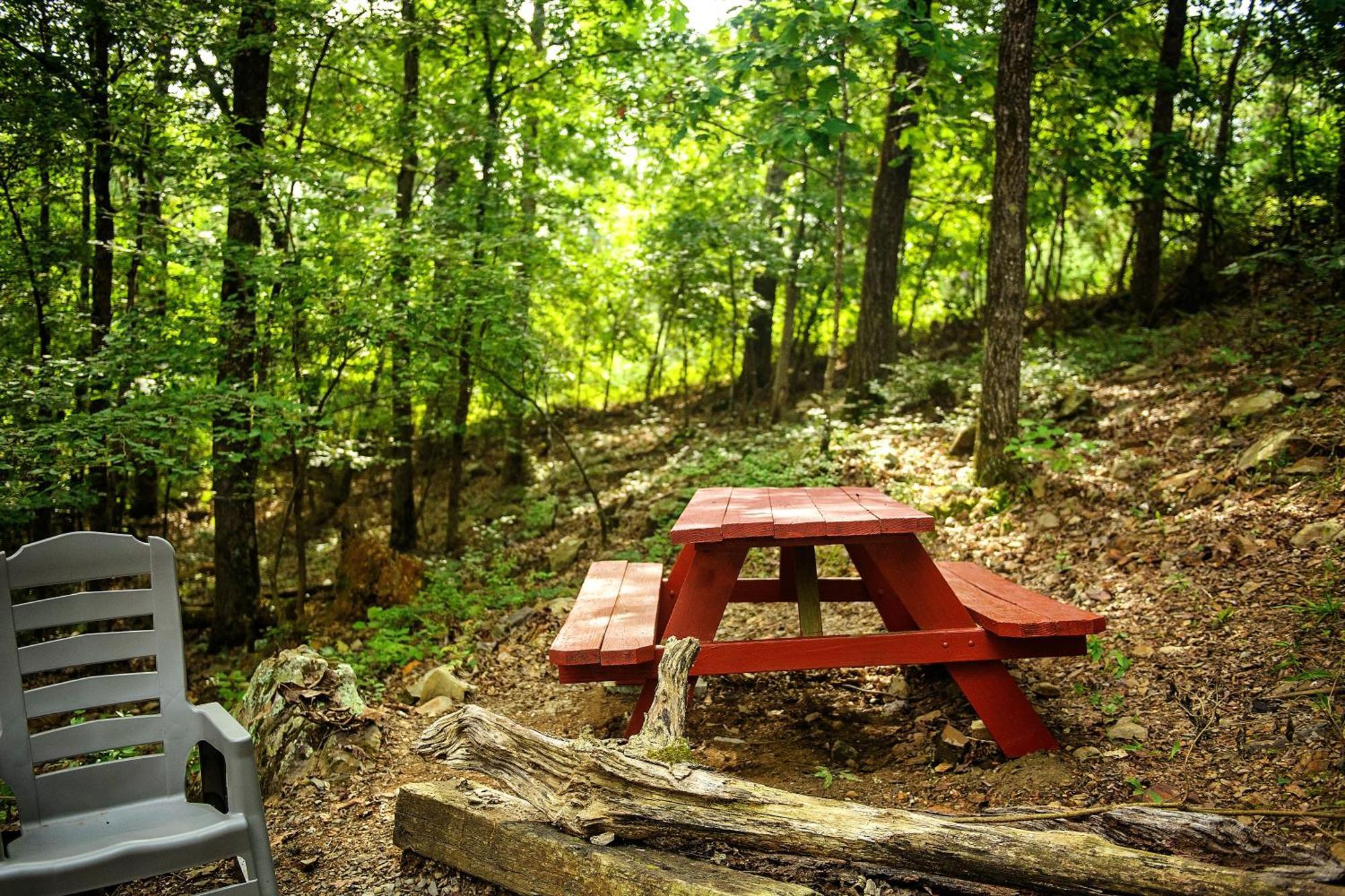 The Americana - Parker Creek Bend Cabins マーフリーズボロ エクステリア 写真